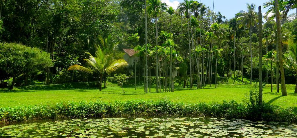 Siri Wedamadura Villa Weligama Zimmer foto